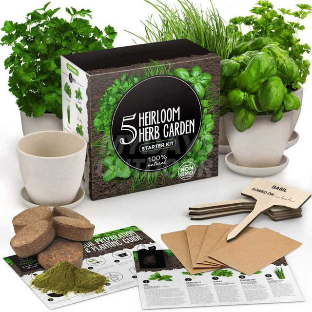 Kit de démarrage pour jardin d'herbes aromatiques d'intérieur