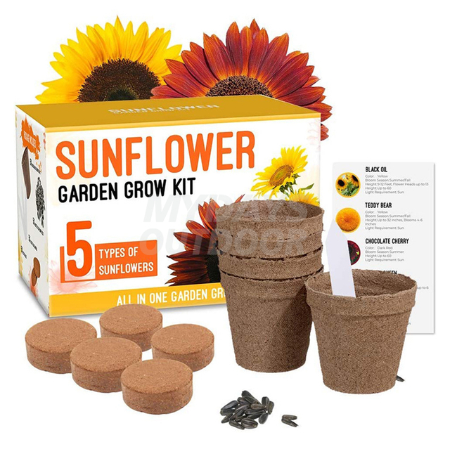 Sonnenblumen-Anbau-Set, Anfänger-Starter-Set