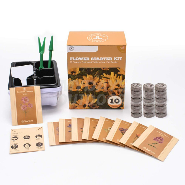 Kits de inicio de flores Kit de jardín para el hogar