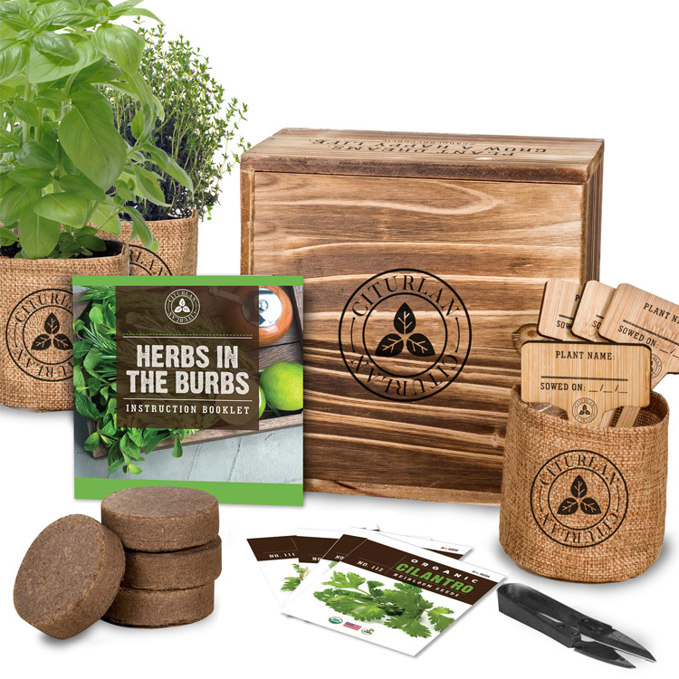 herb growing kit (12)