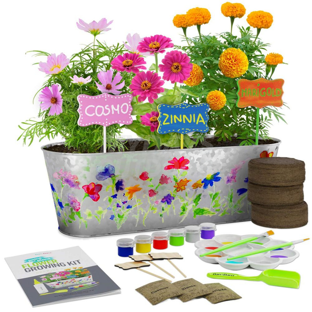 Kit de jardinería de flores y pintura
