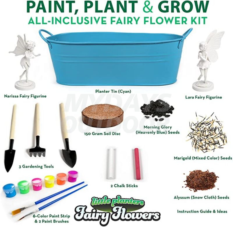 paint growing kit (5)