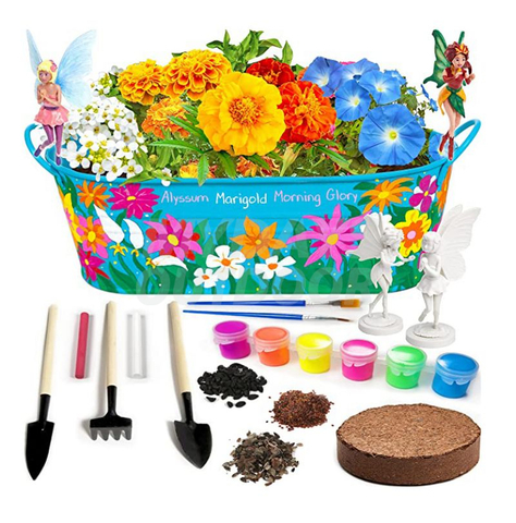 Kit de jardinería para pintar y cultivar flores