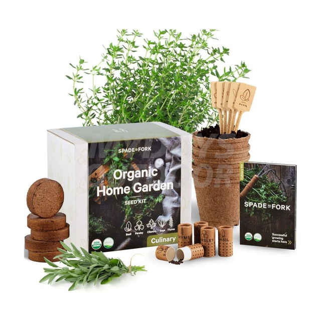 Kit de cultivo de cocina DIY Kit de inicio de jardín de hierbas para interiores