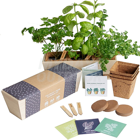 Kit de jardinería de hierbas para interiores