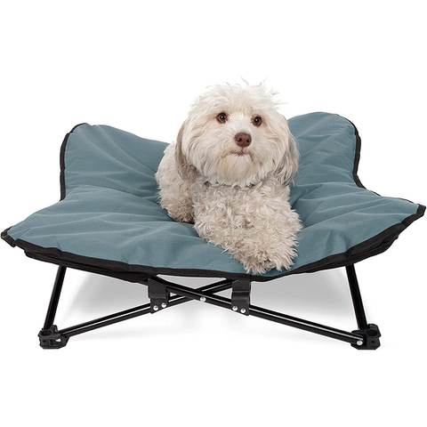 Pet heeft COT MDSCBD-002 verhoogd