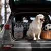 Pet Travel Food Storage Bag MDSPB-006