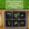 Flower Starter Kits Home Garden Kit