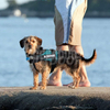 Dog Walking Vest Harness MDSPH-002