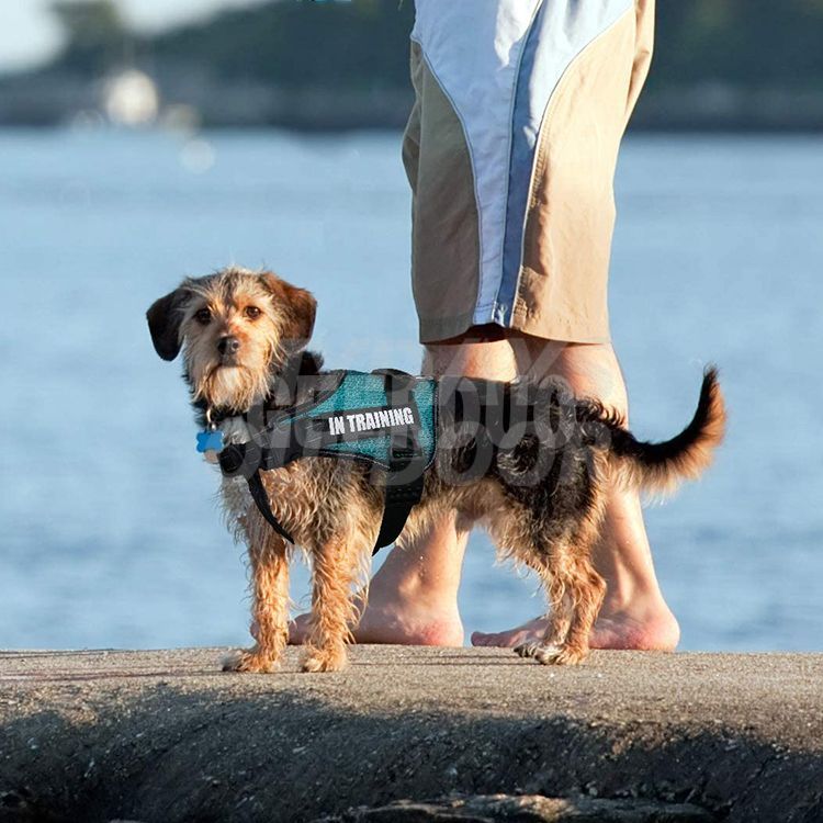 Dog Walking Vest Harness MDSPH-002