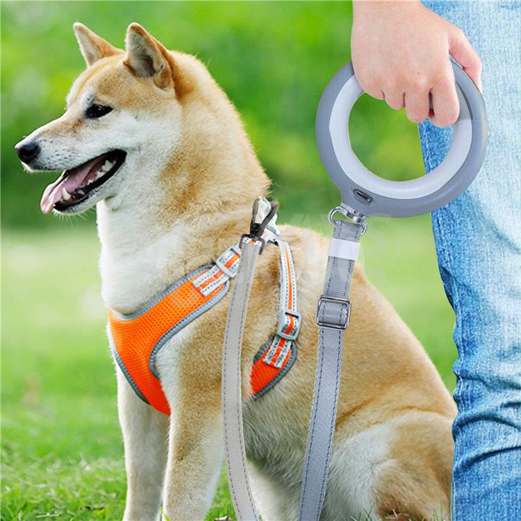LED_dog_leash (7)
