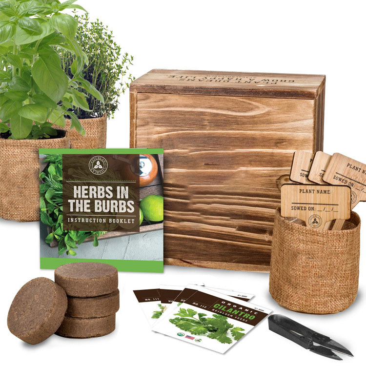 herb growing kit (9)