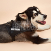 Dog Walking Vest Harness MDSPH-002