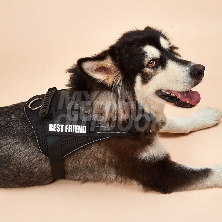 Dog Walking Vest Harness MDSPH-002