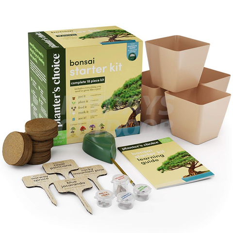 Bonsai-aloituspakkaus Bonsai-puiden kasvattamiseen puutarhakäsityöt