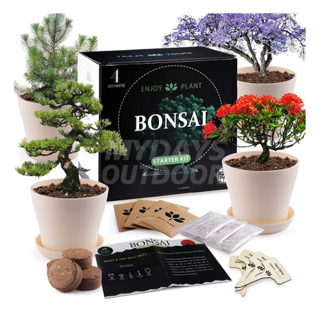Kit de culture de bonsaï - Kit de démarrage pour bonsaï haut de gamme