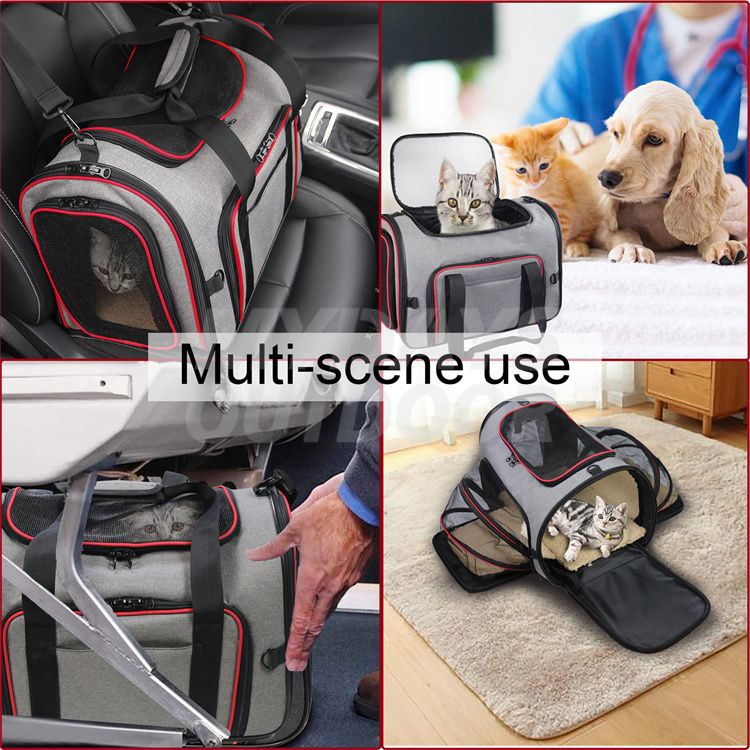 cat_carrier (6)