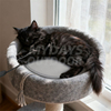 Heated Pet Bed Mat MYDAYS170