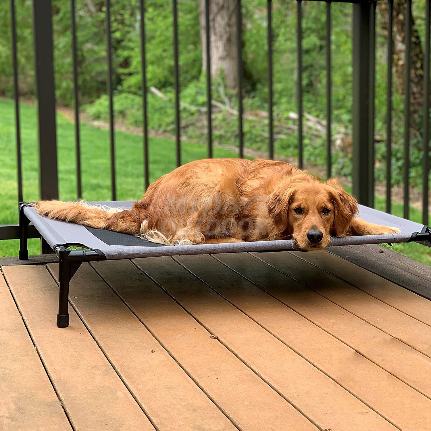 Pet Cot Elevated (12)