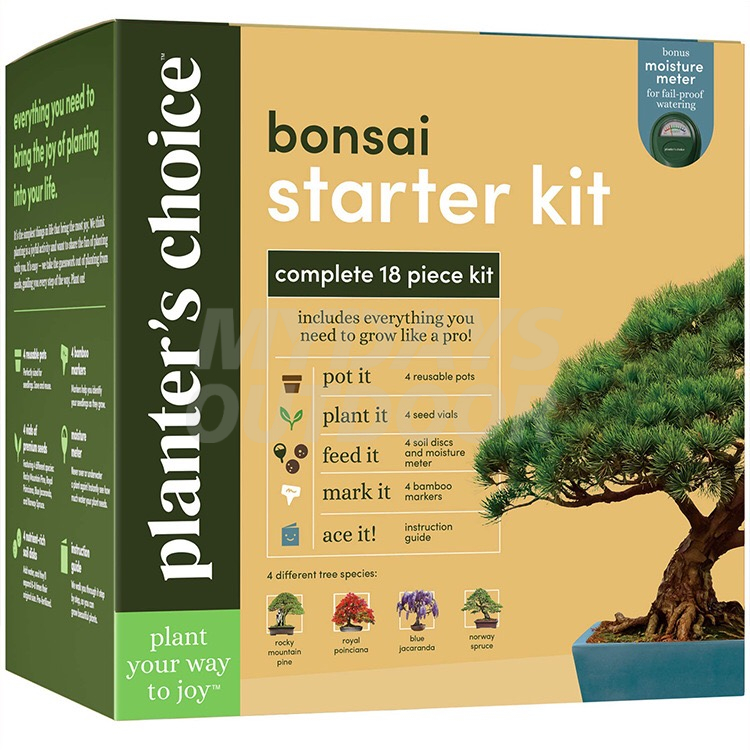Bonsai-aloituspakkaus Bonsai-puiden kasvattamiseen puutarhakäsityöt