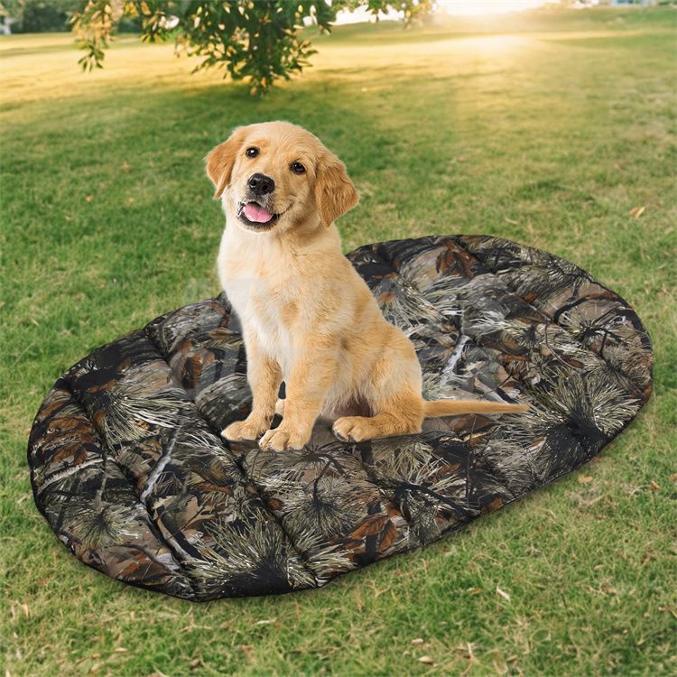 Portable Waterproof Pet Mat MYDAYS117