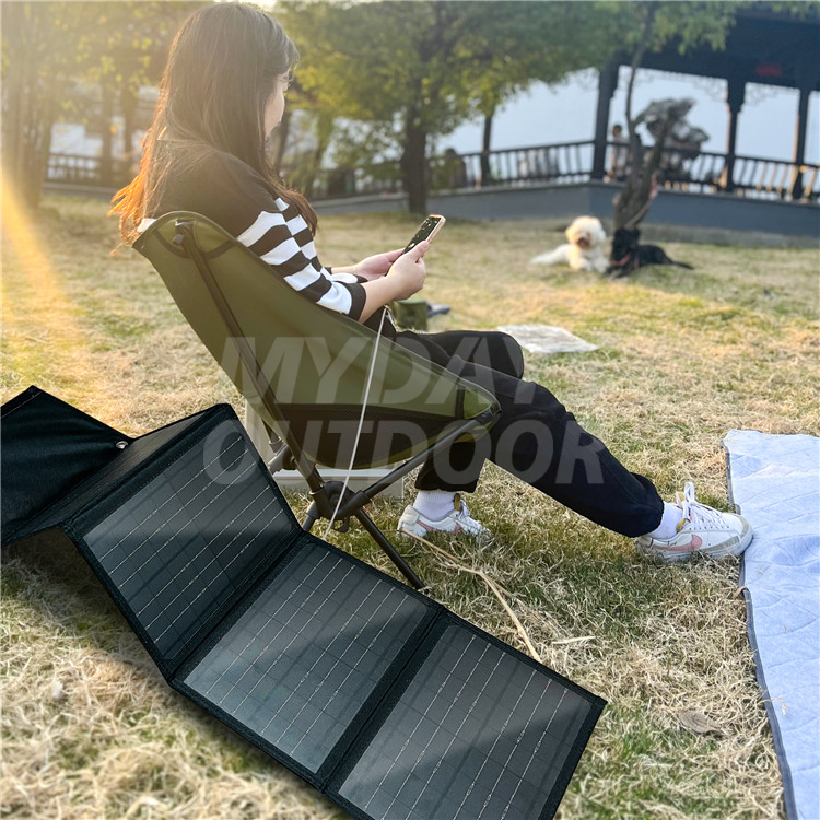 portable solar panel 30W (1)