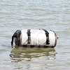 Large Capacity Waterproof Dry Duffel Bag for Motorcycle Kayaking Rafting Skiing Camping MDSCD-2