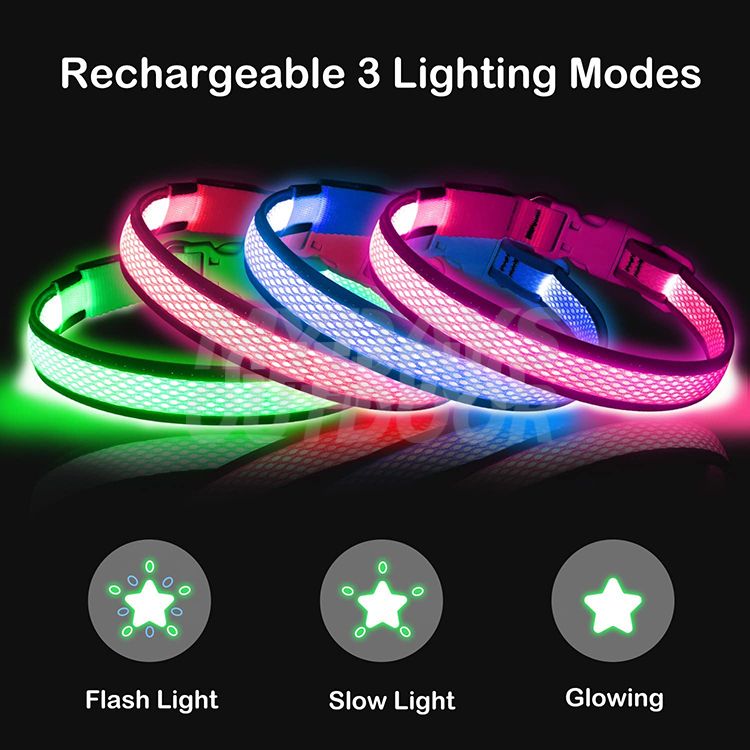 LED_dog_collar (6)