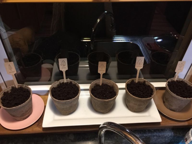 herbs growing kits (2)