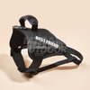 Dog Walking Vest Harness MDSPH-002