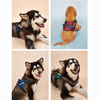 Dog Walking Vest Harness MDSPH-002