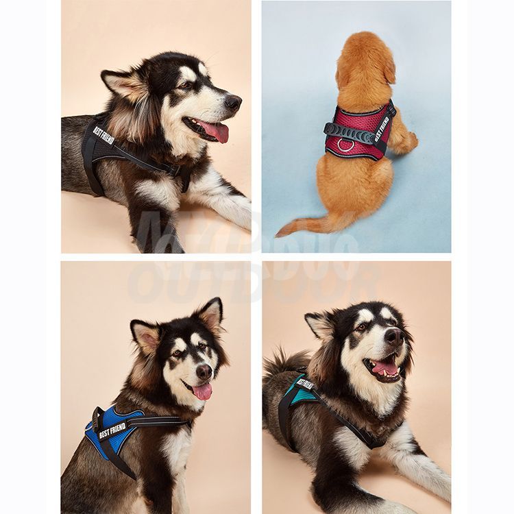 Dog Walking Vest Harness MDSPH-002
