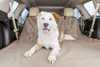 Pet Dog Trunk Cargo Liner MDSCC-010