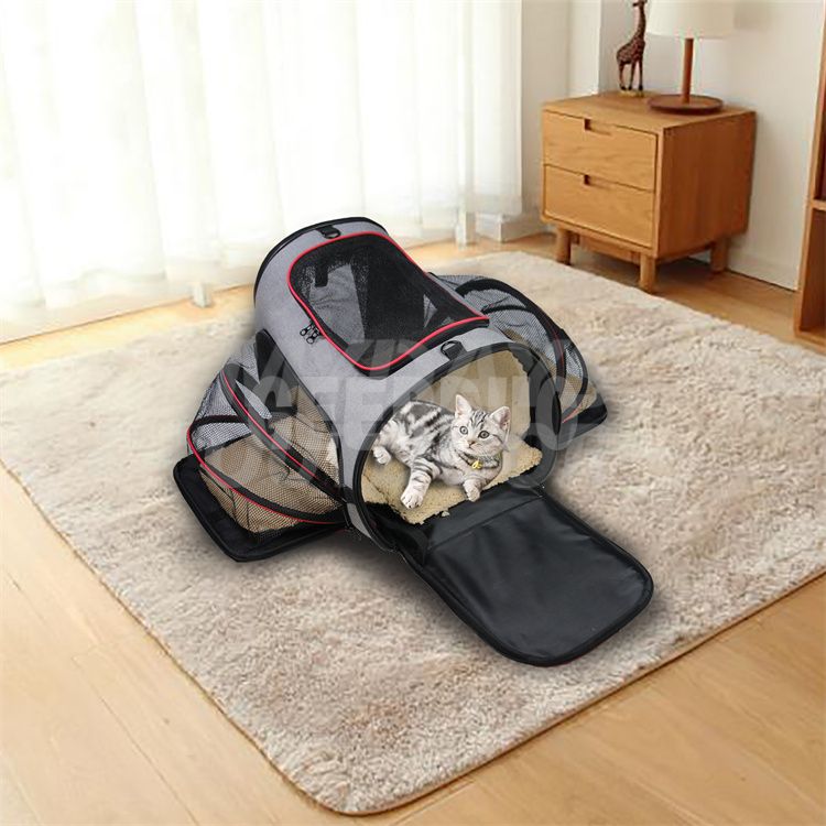 cat_carrier