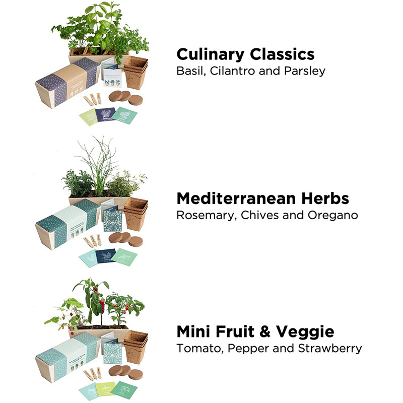 herb growing kit (3)